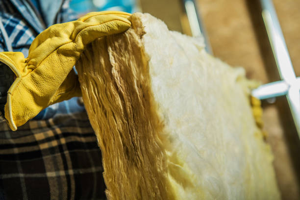 Best Geographic-Specific Insulation Services in Fowler, IN